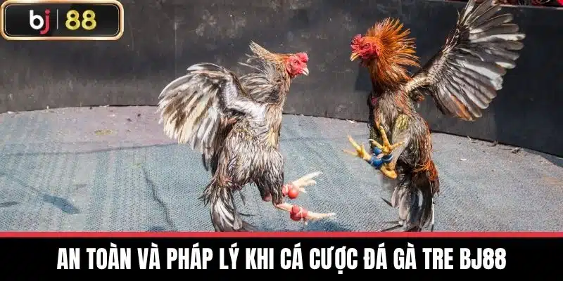 An toàn và pháp lý khi cá cược Đá gà tre BJ88
